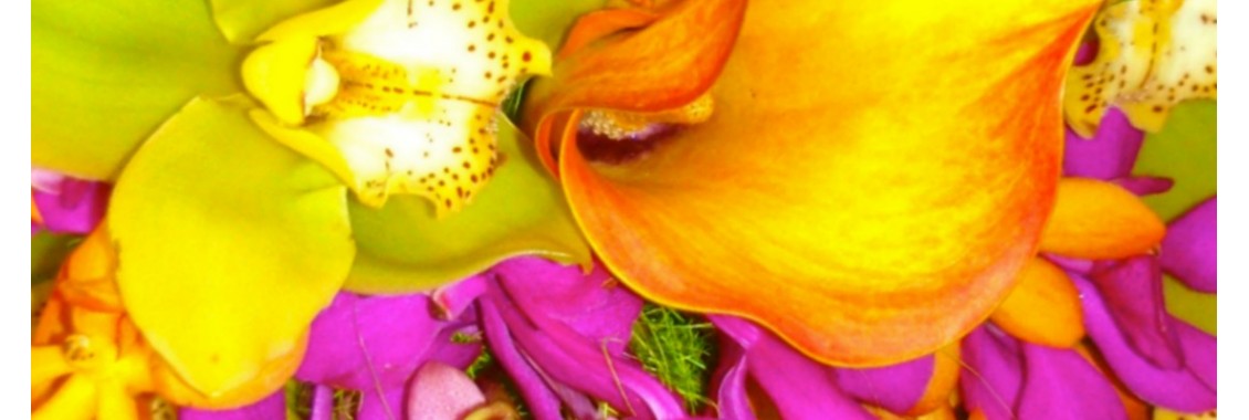 calla lilies and orchids